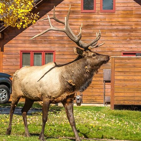 Rams Horn Village Resort Estes Park Eksteriør bilde