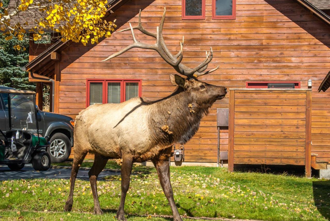 Rams Horn Village Resort Estes Park Eksteriør bilde